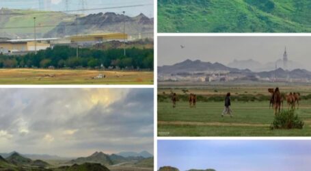 Pegunungan di Saudi Menghijau Setelah Beberapa Pekan Hujan Lebat