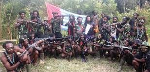 Teroris KKB Papua Bakar Kantor Dinas dan Catatan Sipil di Distrik Oksibil