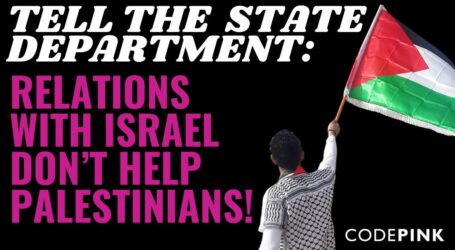 Warga Palestina Dan Aktivis HAM Amerika Serukan Blinken Tinjau Hubungan Dengan Pendudukan