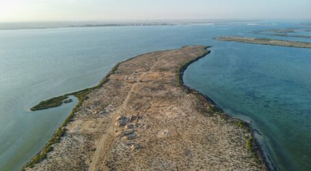 Kota Mutiara Tertua di Teluk Arab Ditemukan di Umm Al Qaiwain