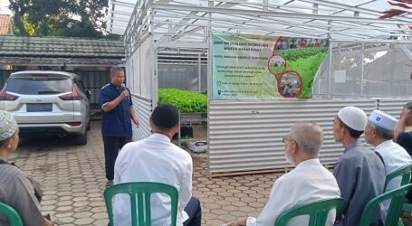 Ponpes Al-Fatah Perkenalkan Bertanam Sistem Demplot