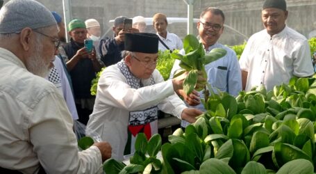 Panen Perdana Demplot Hidroponik, Imam Yakhsyallah Ajak Umat Wujudkan Ketahanan Pangan