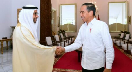Presiden Jokowi Terima Kunjungan Dubes UEA