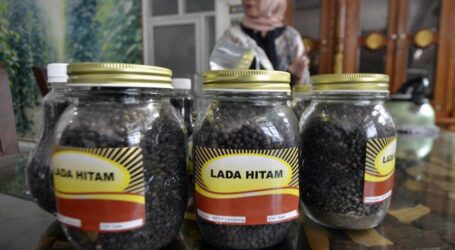 Nilai Ekspor Provinsi Lampung ke Malaysia Capai Rp.315 Miliar