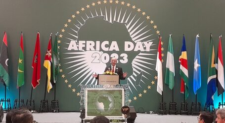 Africa Day 2023 Teguhkan Peran Kunci Indonesia dalam Pembangunan Ekonomi di Afrika
