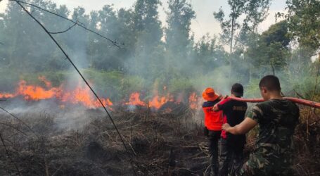 Petugas Gabungan Padamkan 26 Hektar Lahan Terbakar di Barito Selatan