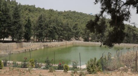 Kerap Jadi Sasaran Penggusuran, Warga Palestina Shalat Jumat di Solomon’s Pools, Bethlehem