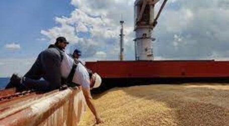 Rusia Hentikan Kesepakatan Ekspor Biji-bijian di Laut Hitam ‘Berbahaya’
