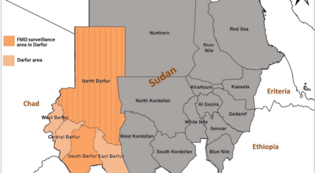 Perang Sudan: Roket di Darfur Bunuh 16 Warga Sipil