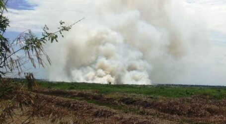 BPBD: Sebanyak 6,3 Hektar Terbakar di Kalsel