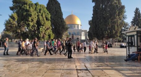 160 Pemukim Secara Berkelompok Menyerbu Masjid Al-Aqsa