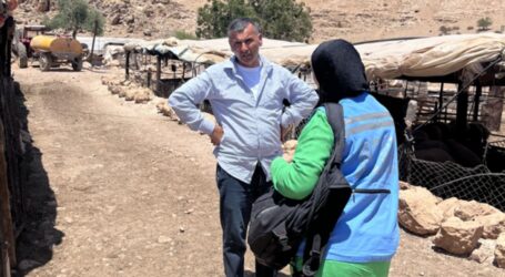 PBB Adakan Pendataan Kebutuhan Mendesak 60 Komunitas Penggembala Palestina di Seluruh Wilayah Pendudukan