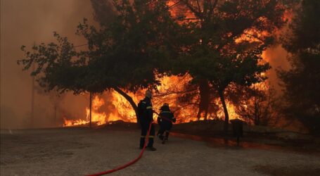 Kebakaran Hutan di Yunani Menyebar ke Turkiye, Lebih dari 1.200 Orang Diungsikan