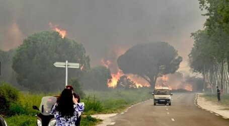Prancis Kebakaran, 3.000 Turis Dievakuasi
