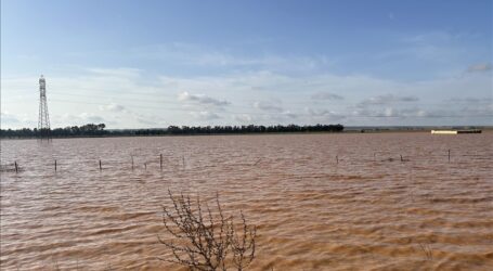 245 Jenazah Ditemukan dalam Satu Hari di Kota Derna yang Dilanda Banjir