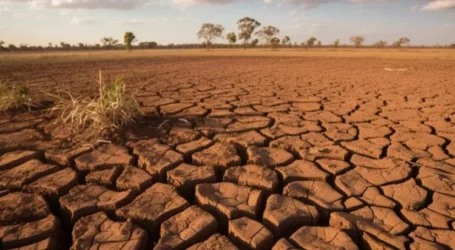 BMKG Prediksi Kemarau Panjang Akibat Badai El Nino Berlangsung Awal 2024