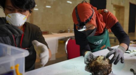 Pemulihan Museum Nasional Indonesia Libatkan Ahli dari Dalam dan Luar Negeri