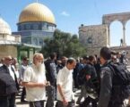 Puluhan Ekstremis Yahudi Serbu Al-Aqsa dalam Lindungan Ketat Polisi Pendudukan