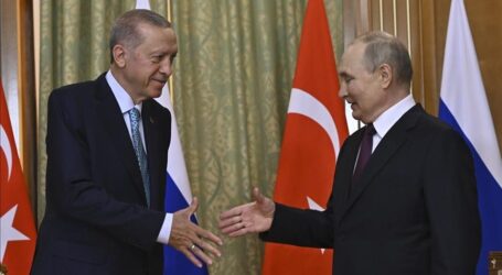Turki Tekankan Kesepakatan Gandum Dilanjutkan