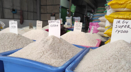 Harga Terus Melonjak, Pemerintah Berencana Impor 2 Juta Ton Beras Thailand