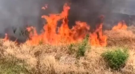 Kebakaran Gunung Lawu Hingga Kabupaten Karanganyar Jateng