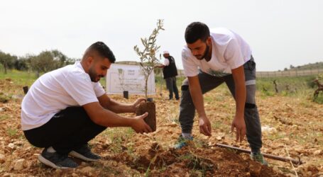 Kelompok Arab untuk Perlindungan Alam Tanam 2.000 Pohon