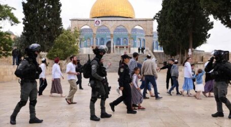 Puluhan Pemukim Yahudi Lakukan Aksi Provokatif di Halaman Masjid Al-Aqsa