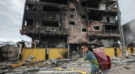 Serangan Israel, Puluhan Warga Palestina Syahid di Selatan Gaza
