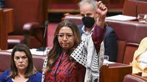 Mehreen Faruqi, Senator Australia Yang Lantang Suarakan Palestina