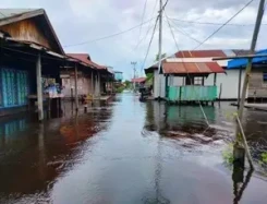 Banjir Kabupaten Bireuen Aceh, 3.458 Rumah Terendam dan 1.199 Jiwa Mengungsi