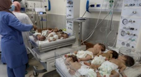 Ada 20.000 Bayi Lahir di Gaza Sejak Agresi 7 Oktober