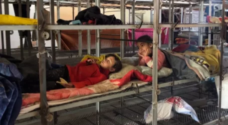 Anak-Anak Lukman Terpaksa Tidur di Kandang Ayam di Rafah