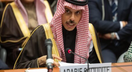 Arab Saudi Serukan Diakhirinya Perang di Gaza
