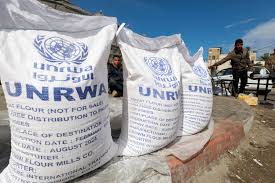 Jerman Salurkan Dana untuk Palestina melalui UNRWA