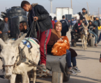 PCBS: Sekitar 1,1 Juta Warga Palestina Berada di Kota Rafah