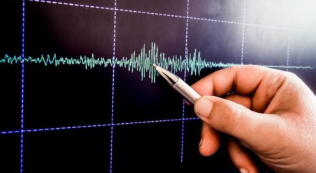 Apa Beda Skala Richter dan Magnitudo Gempa Bumi?