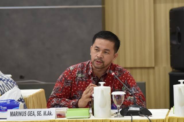 Anggota Komisi XI DPR RI Marinus Gea. (Foto: Parlementaria)