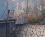 Usai Dibakar Ekstremis Yahudi, Markas UNRWA di Yerusalem Tutup Sementara