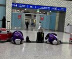 Tiba di Madinah, Jamaah Haji Kloter Lima Sujud Syukur Setelah Pesawatnya Alami Gangguan Mesin