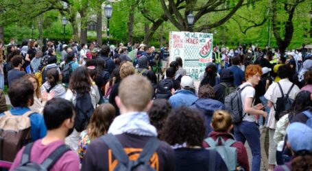 Giliran Universitas Chicago Aksi Menentang Agresi Israel