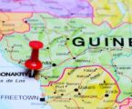 Guinea Berpenduduk Mayoritas Muslim, Sepak Bola Olahraga Populer