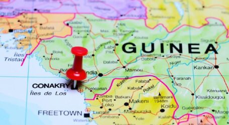 Guinea Berpenduduk Mayoritas Muslim, Sepak Bola Olahraga Populer