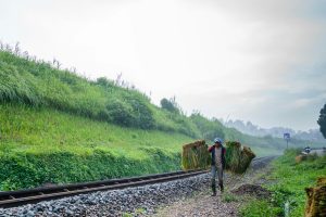 a man walking down a train track carrying a load of hay