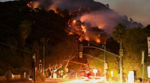 Kebakaran di Los Angeles, AS (foto: Anadolu Agency)