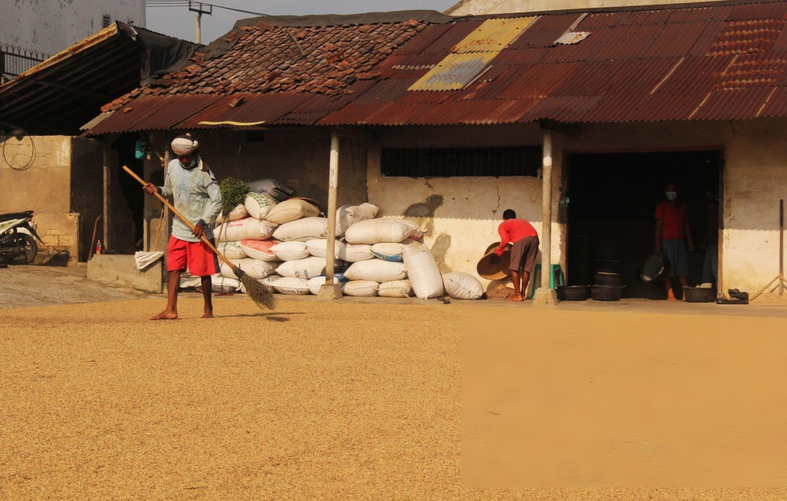 Taubat Nasional: Mengembalikan SDA kepada Rakyat, Bukan kepada Mafia