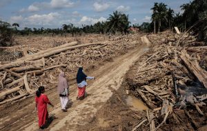 Bareskrim Naikkan Kasus Pembalakan Liar di DAS Garoga–Anggoli ke Tahap Penyidikan