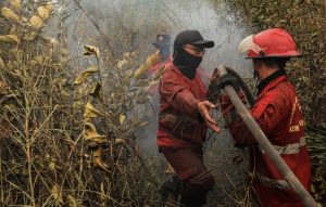 11 Daerah di Riau Tetapkan Status Siaga Darurat Karhutla Hadapi Musim Kemarau