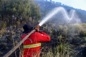 Karhutla Gunung Bromo Meluas hingga Probolinggo, Jalur Wisata Ditutup